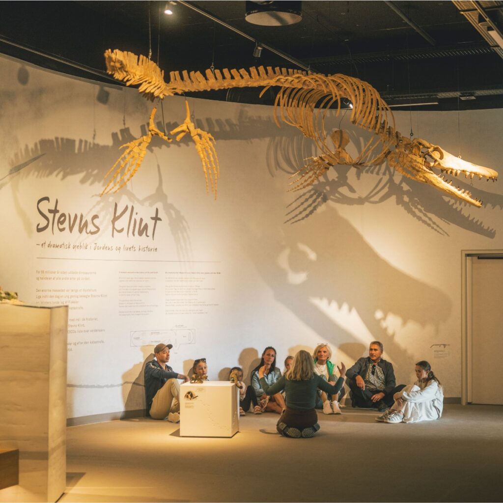 Familie på rundvisning under et fossilt skelet i Stevns Klint Experience